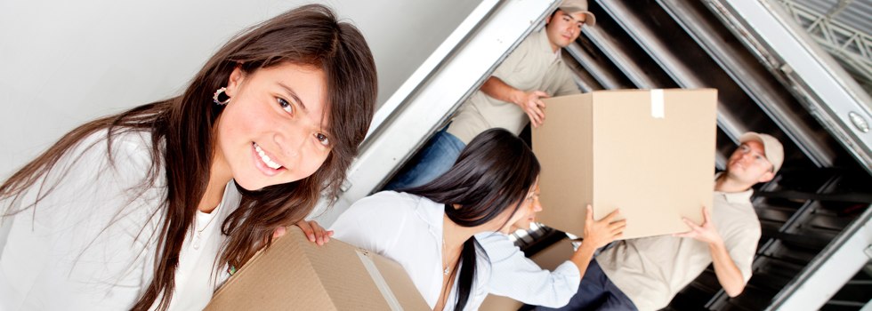 Professional Removalists Aireys Inlet